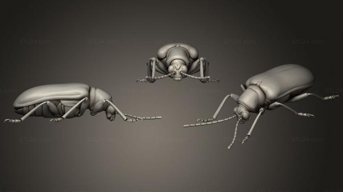 Насекомые (Жуки - насекомые 63, INSCT_0050) 3D модель для ЧПУ станка